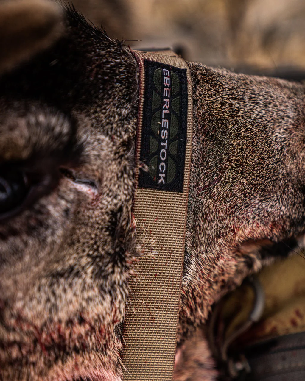 25MM Extension Straps - Image 3